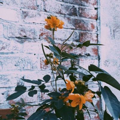 leyu乐鱼体育官网人口正式版