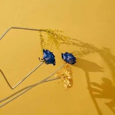 星空体育登录入口